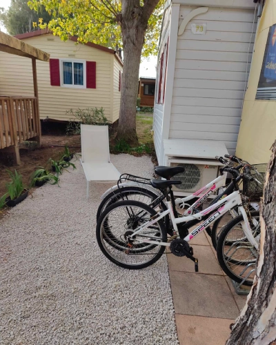 MobileHome-1-photo-05